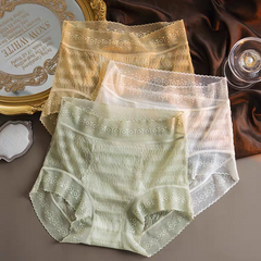 LaceBloom High-Waist Comfort Briefs – Pack of 3